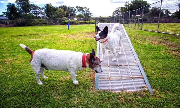 How To Build An Outdoor Dog Ramp Over Stairs | Home Guide
