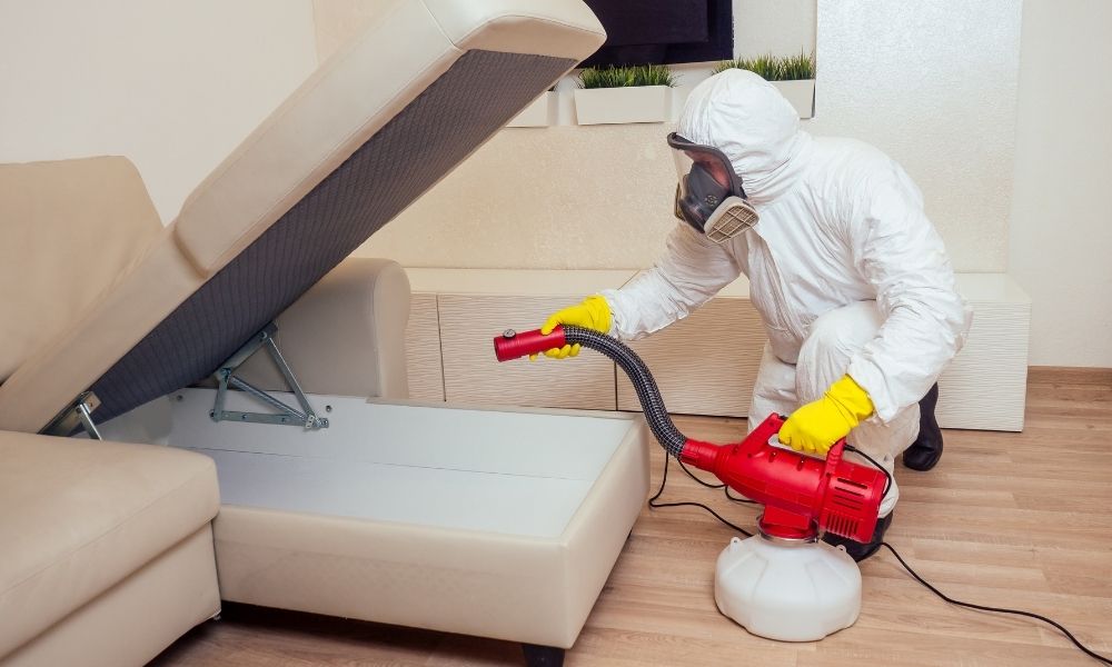 Use A Vacuum Cleaner To Get Rid of Springtails in Bedroom