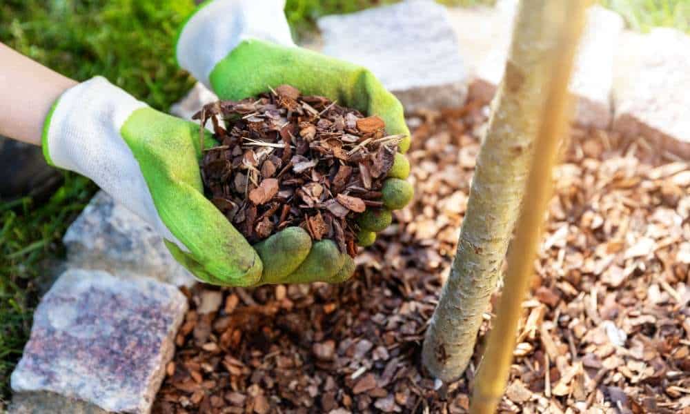 Flower Bed Mulching Do’s And Don’ts