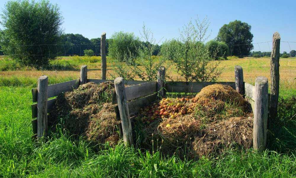 Gather Organic Compostable Like Grass Clippings