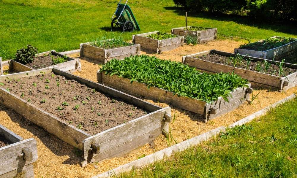 How To Fill Raised Garden Beds