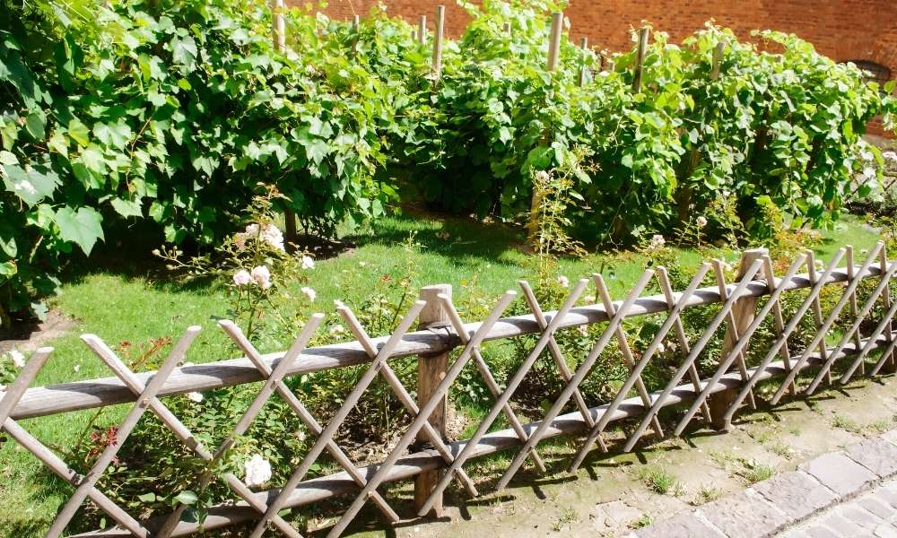 Use Fence Your Garden 