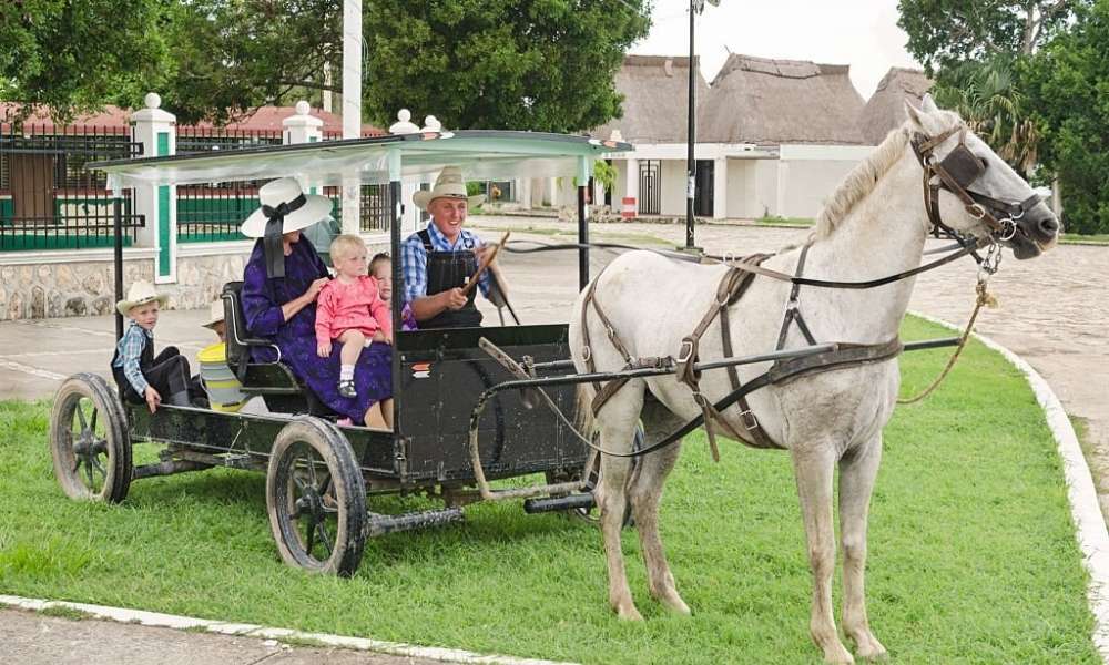 Average Amish family with buggy
