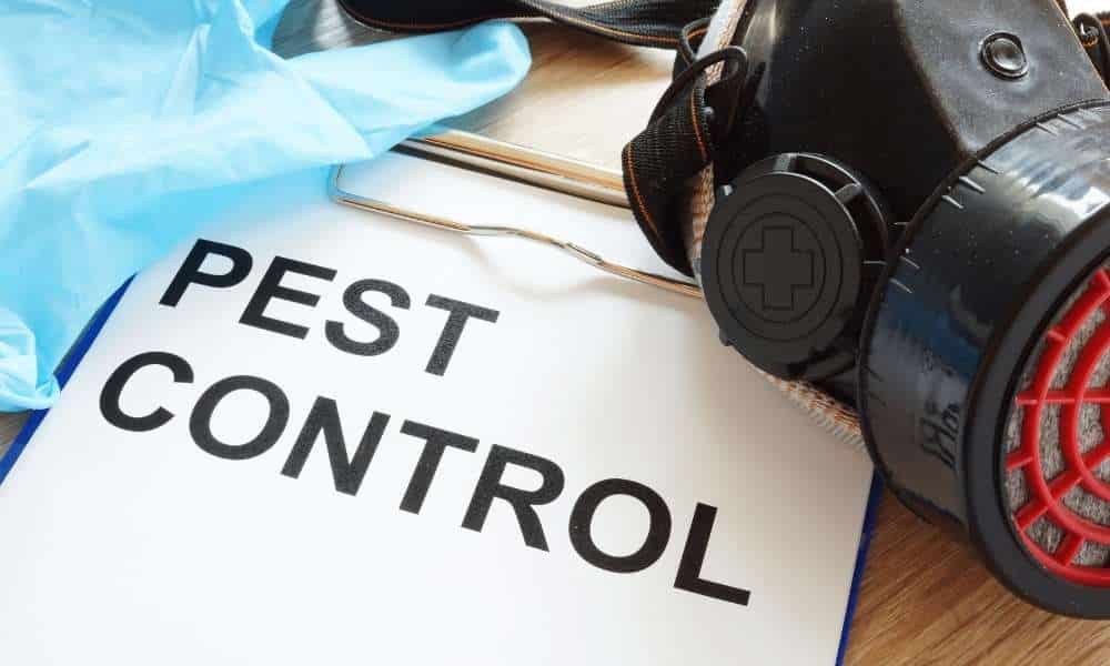 Commercial pest control in Auckland