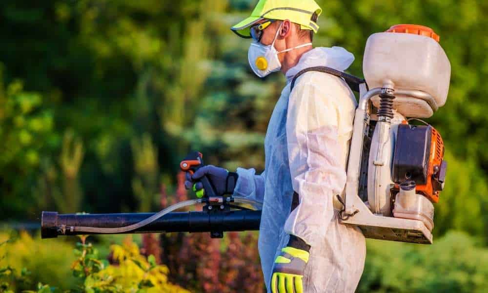 What Are The Benefits Of Pest Control?
