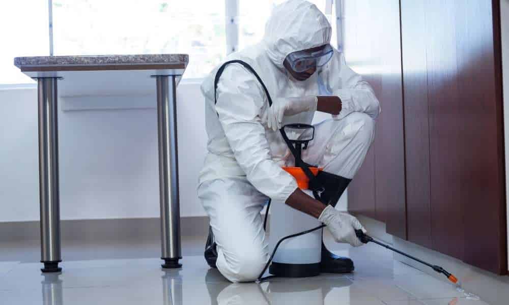 What's The Best Pest Control Company In Dallas Tx?