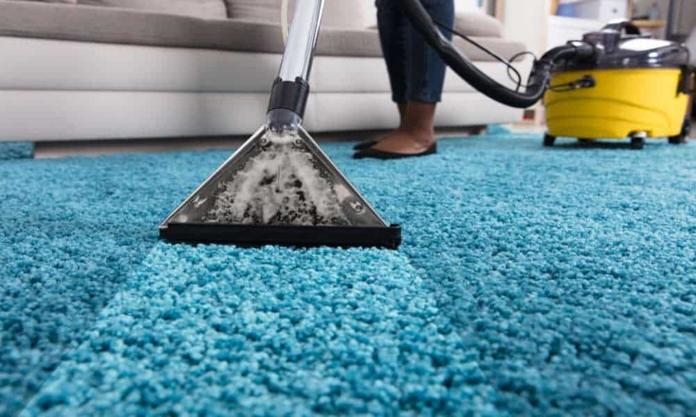 Why is Carpet Cleaning Important