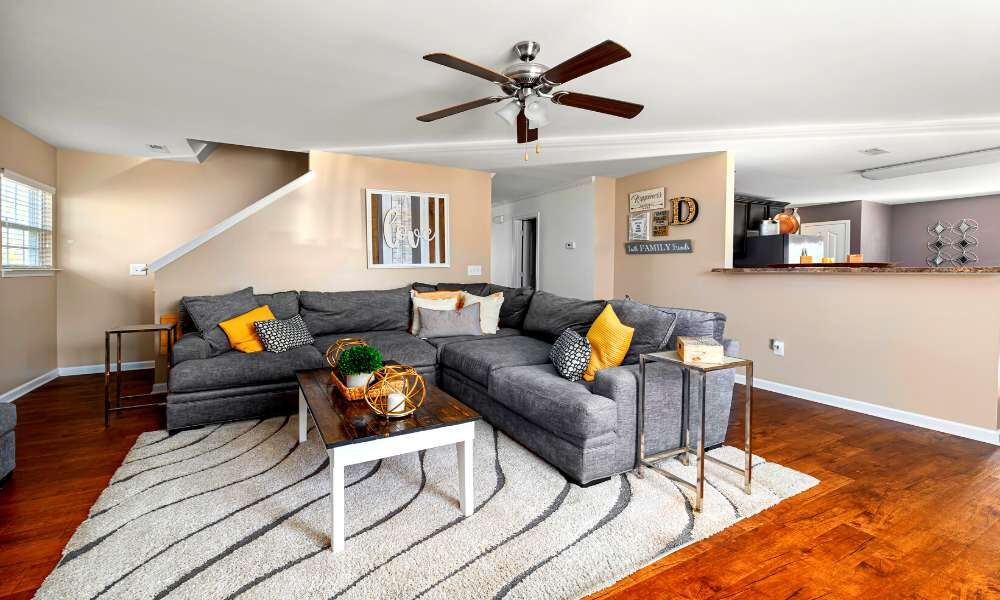 Gray Sofa Living Room Ideas