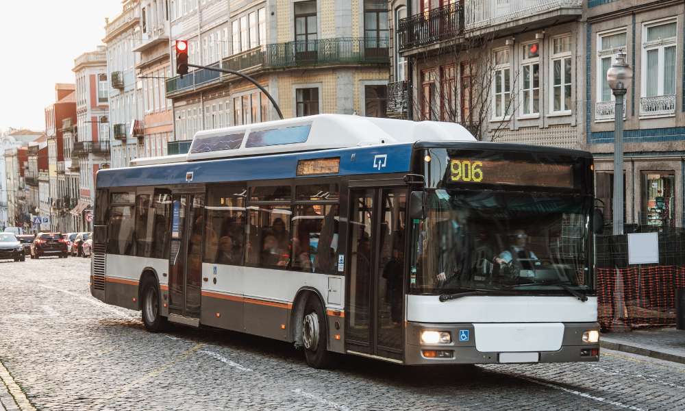 What Is Clipsal C-Bus Lighting Control?