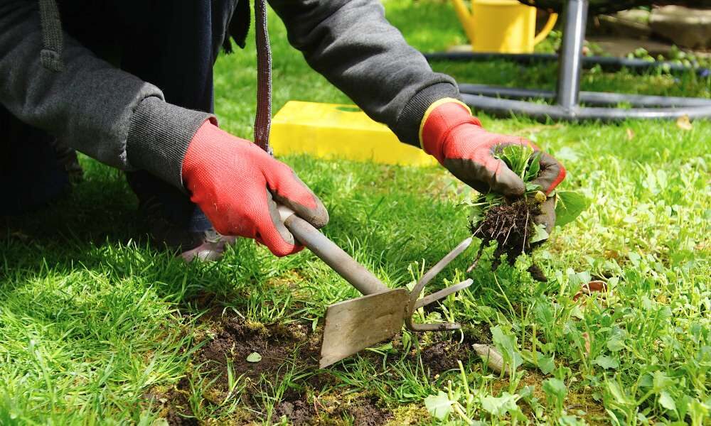 Top 6 Benefits Of Garden Waste Removal